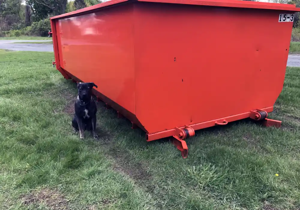 Dumpster in Dublin